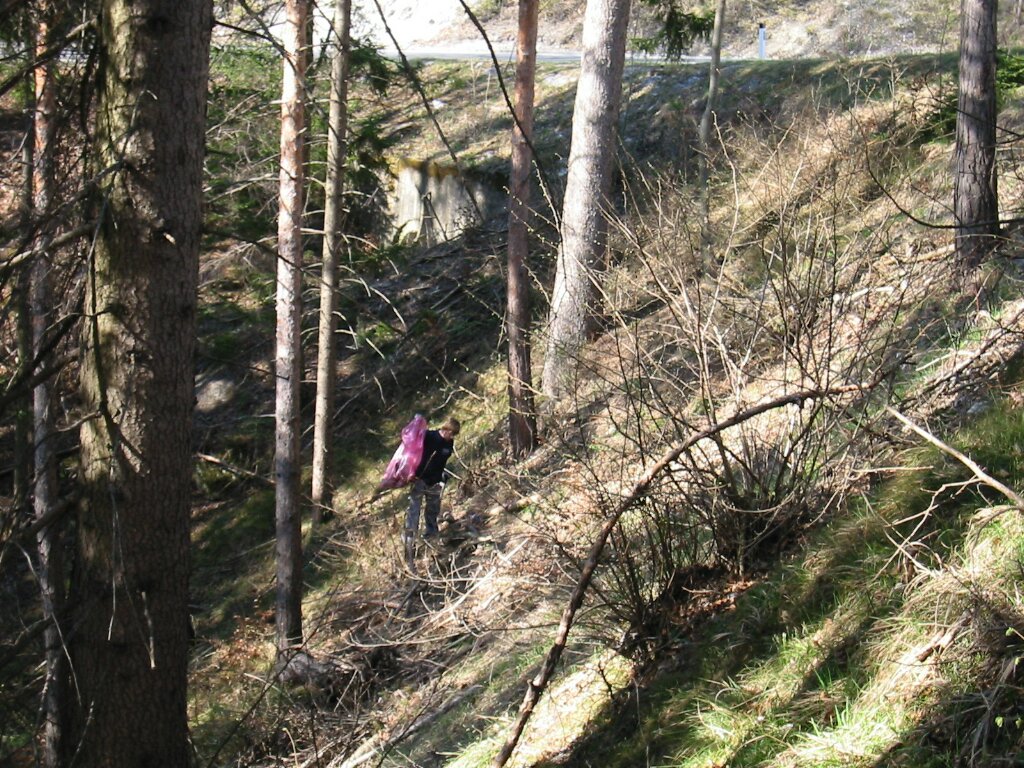 IMG 6601